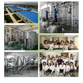 Kostenlose Proben Hessperidin Bulk Pulver Hesperidin